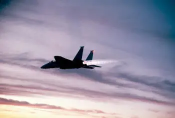 The F15 Eagle f in fast I am fat I smoke two packets of cigarettes a day - фото 13