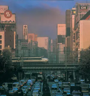 During our twoweek stay in Tokyo we didnt go out after work once Had we - фото 5