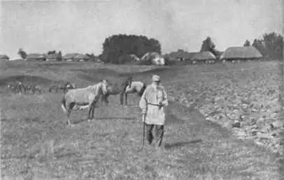 В поле за деревней Ясная Поляна 1908 г С любимой лошадью Делиром Ясная - фото 68