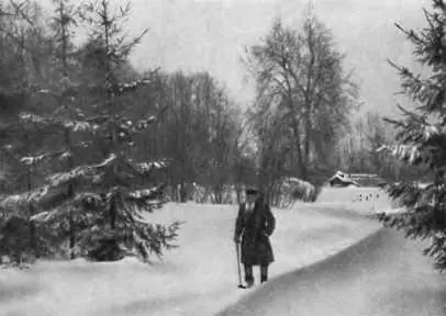 Л Н Толстой Ясная Поляна 1908 г С внучкой Т М Сухотиной Ясная Поляна - фото 72