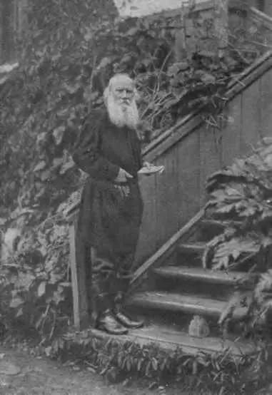 Л Н Толстой Кочеты 1910 г Л Н Толстой в магазине Циммермана В - фото 79