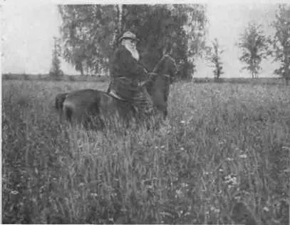 На прогулке Ясная Поляна 1908 г Л Н Толстой Ясная Попяна 1906 г - фото 84