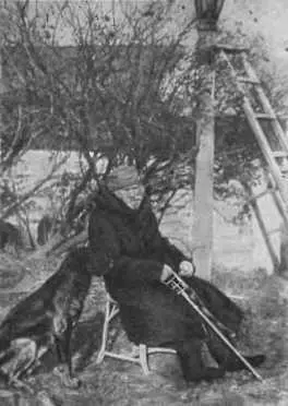 Л H Толстой Ясная Поляна 1909 г У дерева бедных Начало первой - фото 87