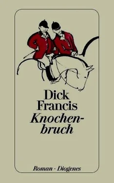 Dick Francis Knochenbruch обложка книги