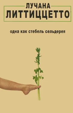 Лучана Литтиццетто Одна как стебель сельдерея обложка книги