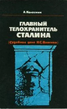 Александр Колесник Главный телохранитель Сталина обложка книги