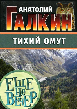 Анатолий Галкин Тихий омут обложка книги