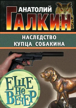 Анатолий Галкин Наследство купца Собакина обложка книги