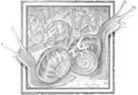 Chapter 3 THOSE WHO STIR IN THEIR SLEEP THE MOON WAS well up and turned the - фото 4