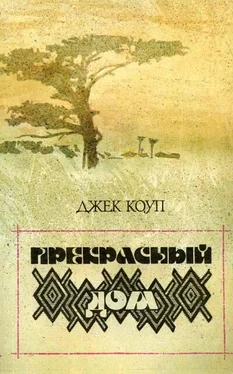 Джек Коуп Прекрасный дом обложка книги