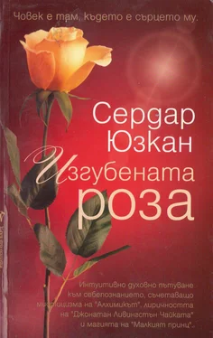 Сердар Юзкан Изгубената роза обложка книги