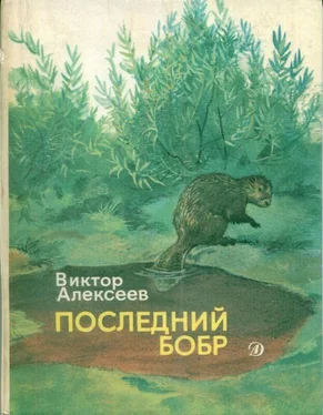 Виктор Алексеев Последний бобр (сборник) обложка книги