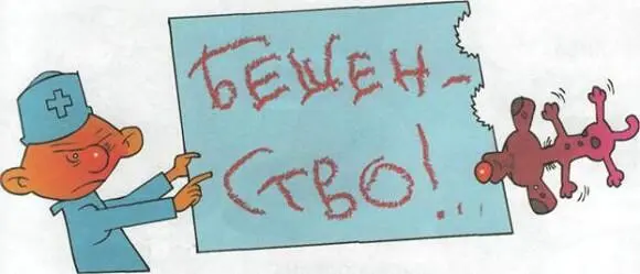 А заражаются бешенством именно через укус больного животного Больная - фото 14