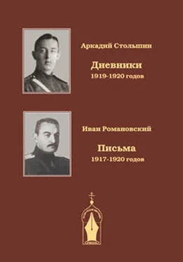 Аркадий Столыпин Дневники 1919-1920 годов обложка книги