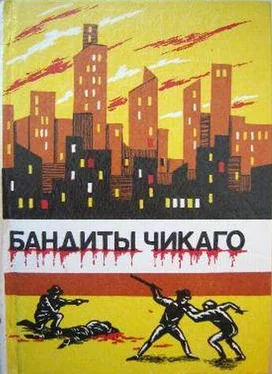 Иден Филлпот Рыжие братья обложка книги