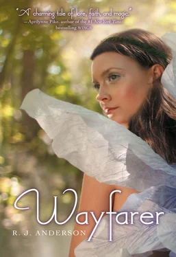 R. Anderson Wayfarer обложка книги