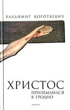 Владимир Короткевич Христос приземлился в Гродно. Евангелие от Иуды обложка книги