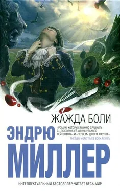 Эндрю Миллер Жажда боли обложка книги