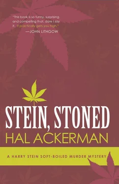 Hal Ackerman Stein,stoned обложка книги