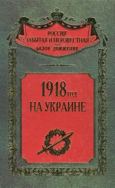 Сергей Волков 1918 год на Украине обложка книги