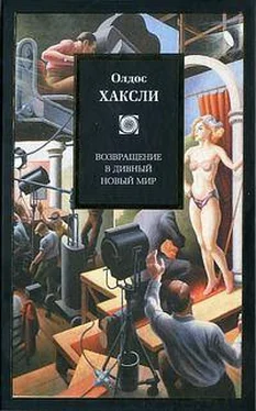 Олдос Хаксли Возвращение в дивный новый мир обложка книги