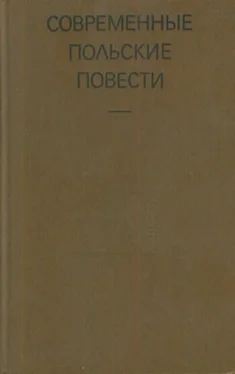 Ярослав Ивашкевич Мартовский день обложка книги