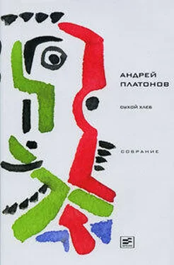 Андрей Платонов Том 7. Сухой хлеб обложка книги