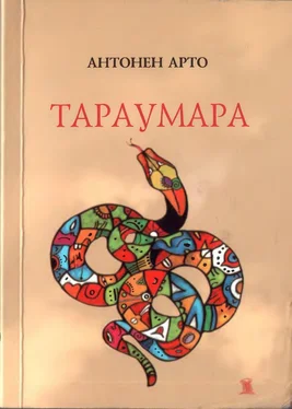 Антонен Арто Тараумара обложка книги