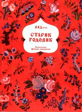 Владимир Даль Старик годовик обложка книги