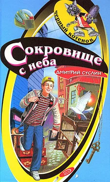 Дмитрий Суслин Сокровище с неба обложка книги