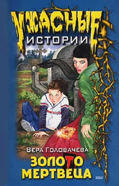 Вера Головачёва Бумеранг проклятья обложка книги