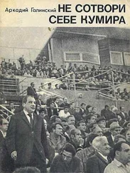 Аркадий Галинский - Не сотвори себе кумира