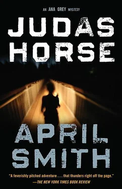 April Smith Judas Horse обложка книги