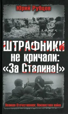 Юрий Рубцов Штрафники не кричали: «За Сталина!» обложка книги