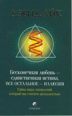 Дэвид Айк Бесконечная любовь - единственная истина, все остальное иллюзия обложка книги