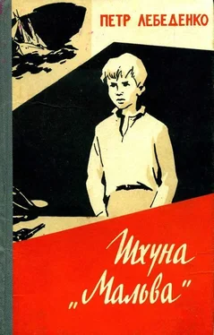 Петр Лебеденко Шхуна «Мальва» обложка книги