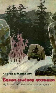 Андрей Шманкевич Вовка - зелёная фуражка обложка книги