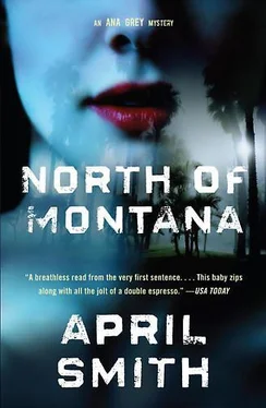 April Smith North of Montana обложка книги