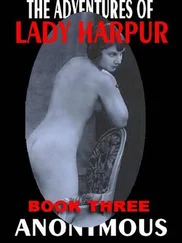 Anonymous - The adventures of Lady Harpur Vol.3