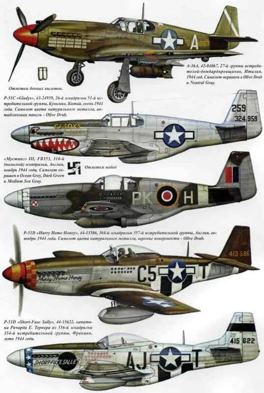 P51 Mustang - фото 13