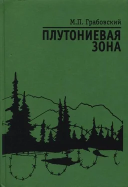 Михаил Грабовский Плутониевая зона обложка книги