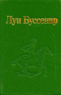 Луи Буссенар Изгнанник обложка книги