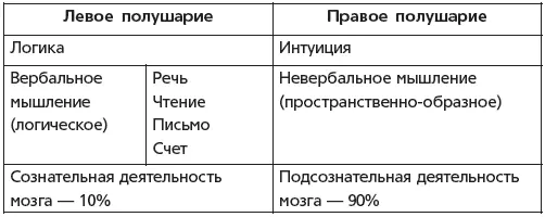 Полушария не функционируют изолированно друг от друга связь между ними - фото 1