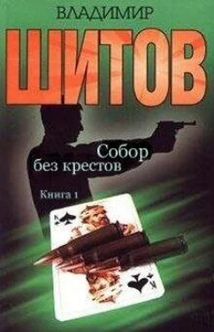 Владимир Шитов Собор без крестов обложка книги