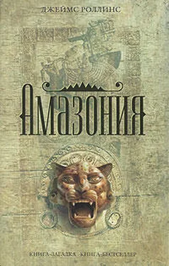 Джеймс Роллинс Амазония обложка книги