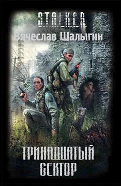 Вячеслав Шалыгин Тринадцатый сектор обложка книги