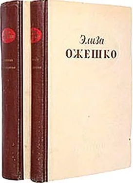 Элиза Ожешко В голодный год обложка книги