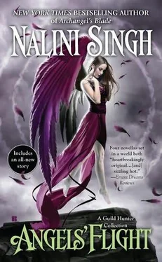 Nalini Singh Angels' Flight обложка книги