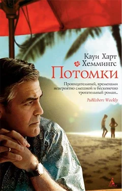 Кауи Хеммингс Потомки обложка книги