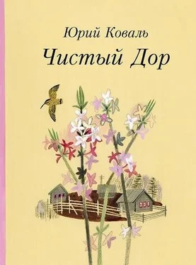 Юрий Коваль Чистый Дор (Рассказы) обложка книги